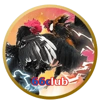 66club